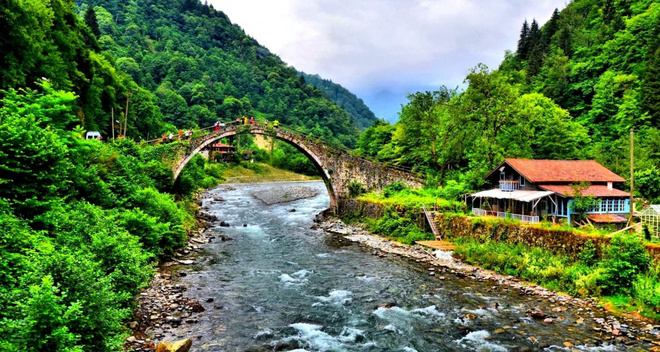 rize