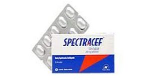 Spectracef