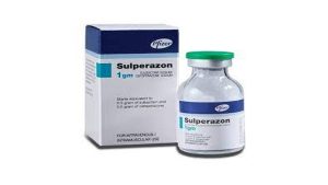 Sulperazon