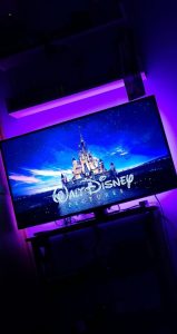 Disney Plus Fake Story 2023