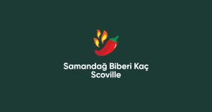 Samandağ Biberi Kaç Scoville (Doğru Cevap)