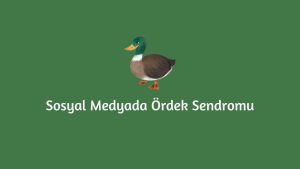 Sosyal Medyada Ördek Sendromu Nedir? (Doğru Cevap)