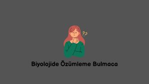 Biyolojide Özümleme Bulmaca (Doğru Cevap)