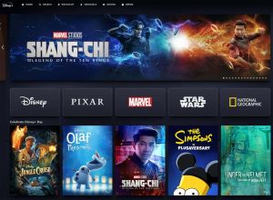 Disney Plus PC İndirme Linki 2023
