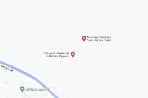 Eskişehir Hayvan Pazarı Nasıl Giderim