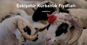 Eskişehir Kurbanlık Fiyatları 2023