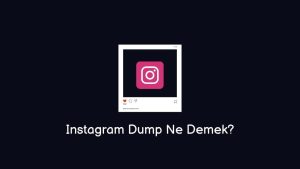 Instagram Dump Ne Demek? November, January, Photo Dump
