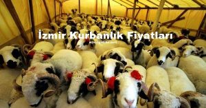 İzmir Kurbanlık Fiyatları 2023
