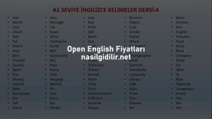Open English Fiyat 2023