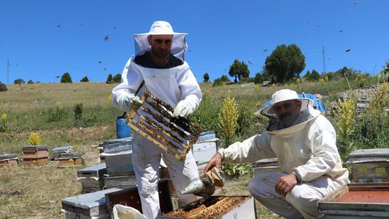 Rüyada arıcı görmek ne anlama gelir? Arıcı görmenin İslami rüya tabiri