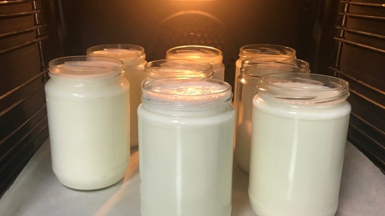 Şoklama yöntemiyle evde doğal probiyotik yoğurt nasıl yapılır?