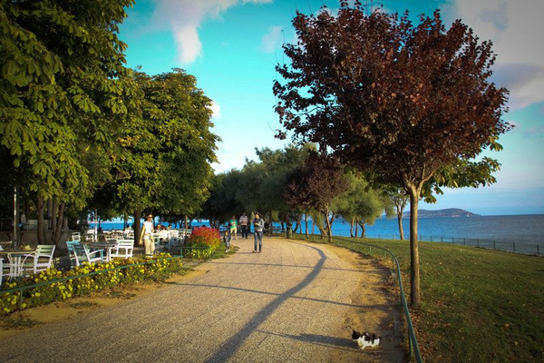 İstanbul piknik alanları! Anadolu ve Avrupa yakası mangal yapılacak yerler - Resim : 9