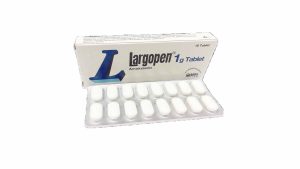 Largopen