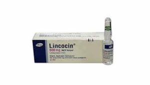 Lincocin