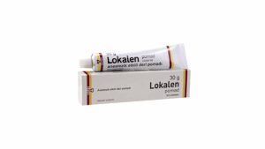 Lokalen