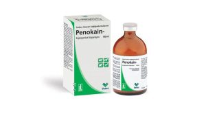 Prokain Penicillin